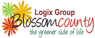 logo_logix_blossom_county